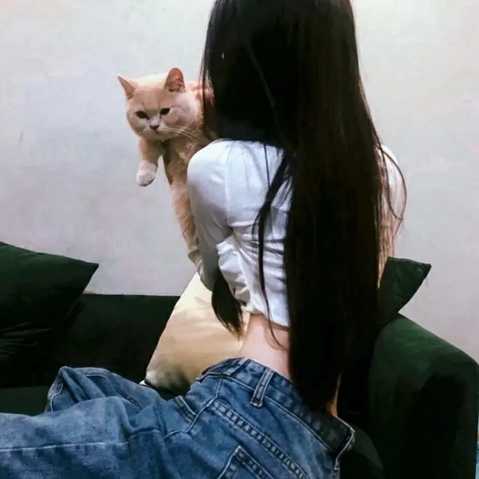 森林里的熊先生